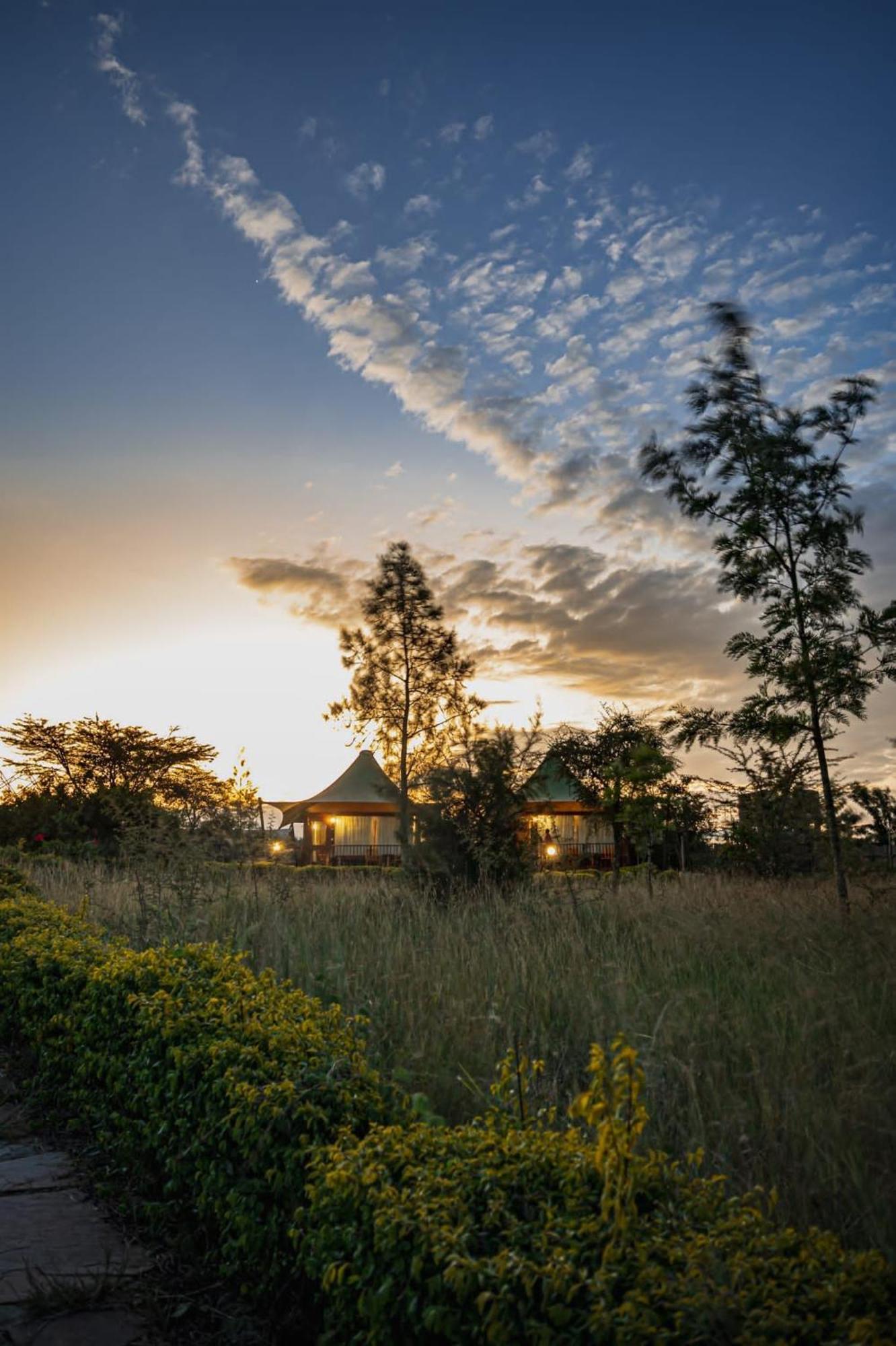 Aa Lodge Maasai Mara Talek Exteriör bild