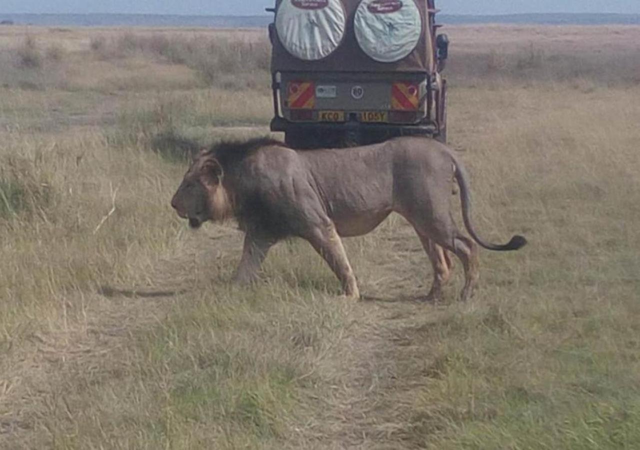 Aa Lodge Maasai Mara Talek Exteriör bild