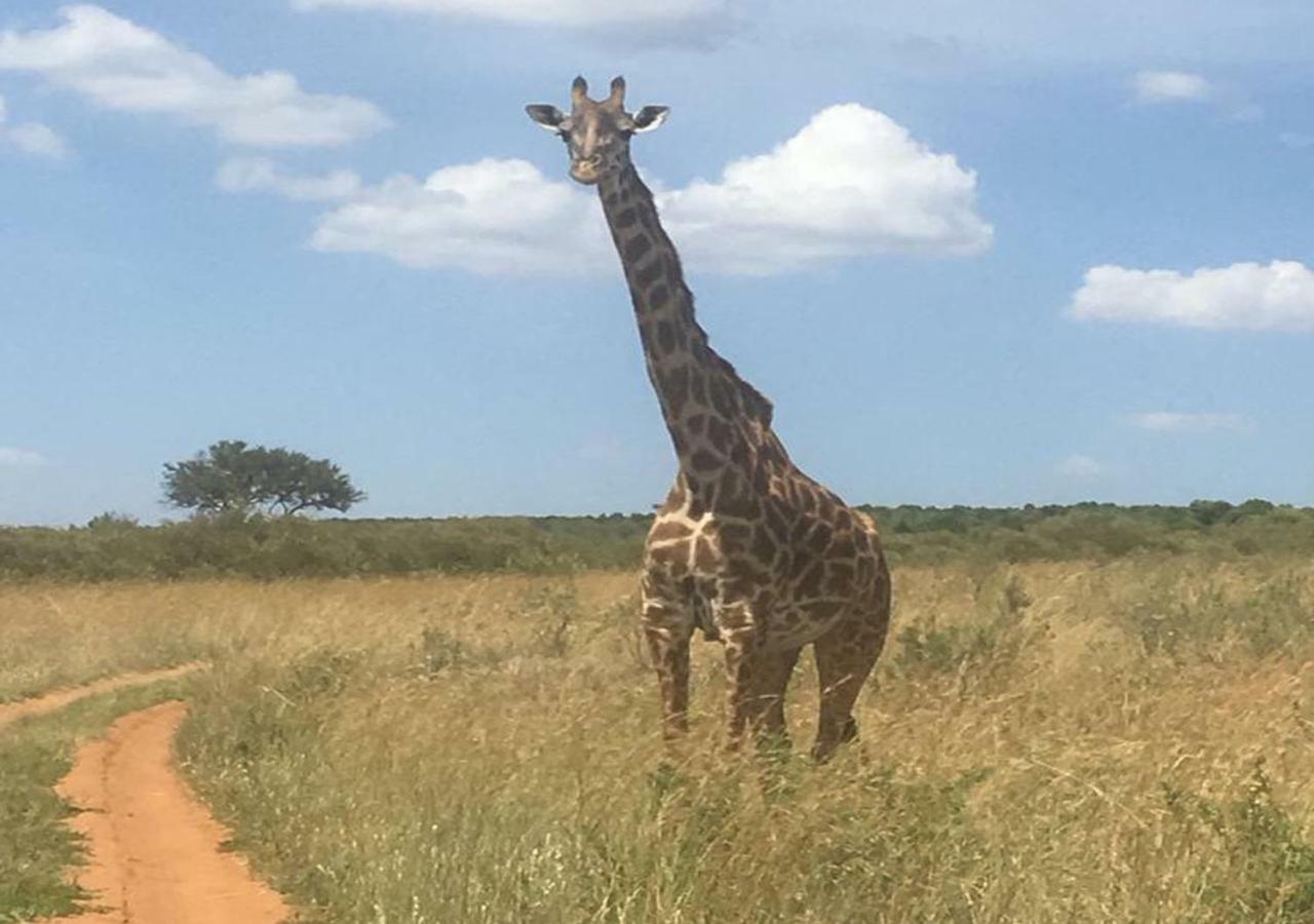 Aa Lodge Maasai Mara Talek Exteriör bild