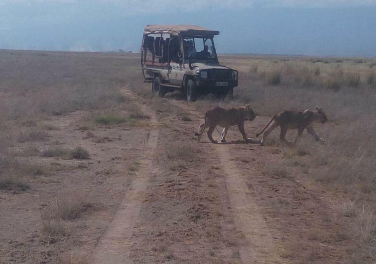 Aa Lodge Maasai Mara Talek Exteriör bild